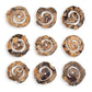 Corkscrew - Wood Wall Decor (Set of 9) - Light Brown