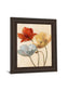 Poppy Palette Il By Nan - Framed Print Wall Art - Red
