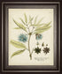 22x26 Eloquent Botanical III By Vision Studio - Beige