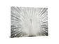 Tempered Glass With Foil & Rhinestones - Peacock - Gray