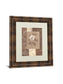 Single Rose By Vivian Flasch - Framed Print Wall Art - Light Brown