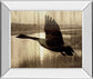 Journey By Tania Bello - Mirror Framed Goose Photo Print Wall Art - Black