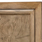 Paltrow - Burl 2 Door Cabinet - Woodtone