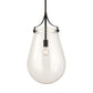 Dewdrop - 1 Light Glass Shade Pendant - Black