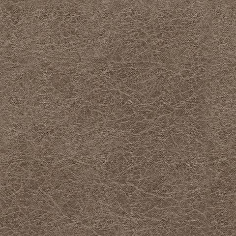 Navi - Queen Sofa Sleeper - Fossil