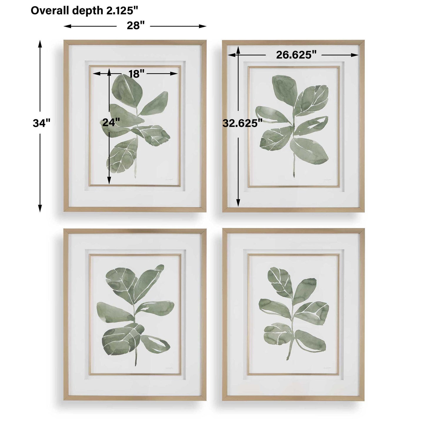 Fiddle Head - Leaf Botanical Prints (Set of 4) - Gold / Green / White
