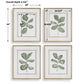 Fiddle Head - Leaf Botanical Prints (Set of 4) - Gold / Green / White