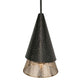Apollo - 1 Light Mini Pendant - Black / Gold