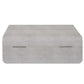 Lalique - Shagreen Box - White