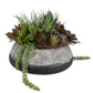 Yuma - Succulent Centerpiece - Gray