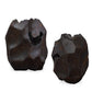 Ember Root - Teak Sculpture (Set of 2) - Black