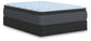 Destin Cove PT - Mattress