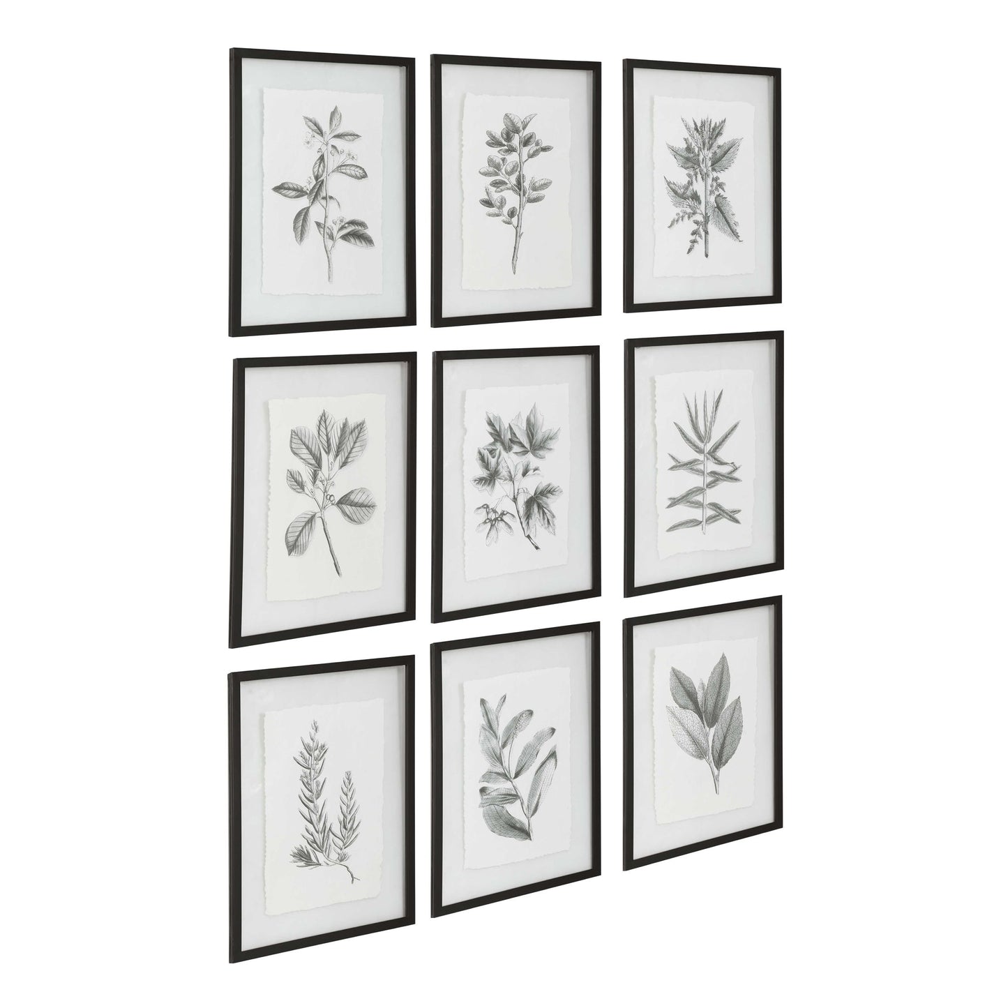 Farmhouse Florals - Framed Prints (Set of 9) - Black