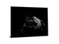 Tempered Glass With Foil - Black Panther - Black
