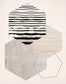 Hexagonal Display II By Daniela Santiago - Beige