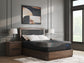 Millennium 2.0 Foam 14 Inch - Mattress