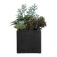 Greystone - Indoor-Outdoor Succulent - Green