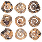 Corkscrew - Wood Wall Decor (Set of 9) - Light Brown