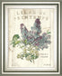 Lilas De Printemps By Sue Schlabach 22x 26 - Beige