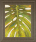 Tropical Leaf Il By Patricia Pinto - Framed Print Wall Art - Green
