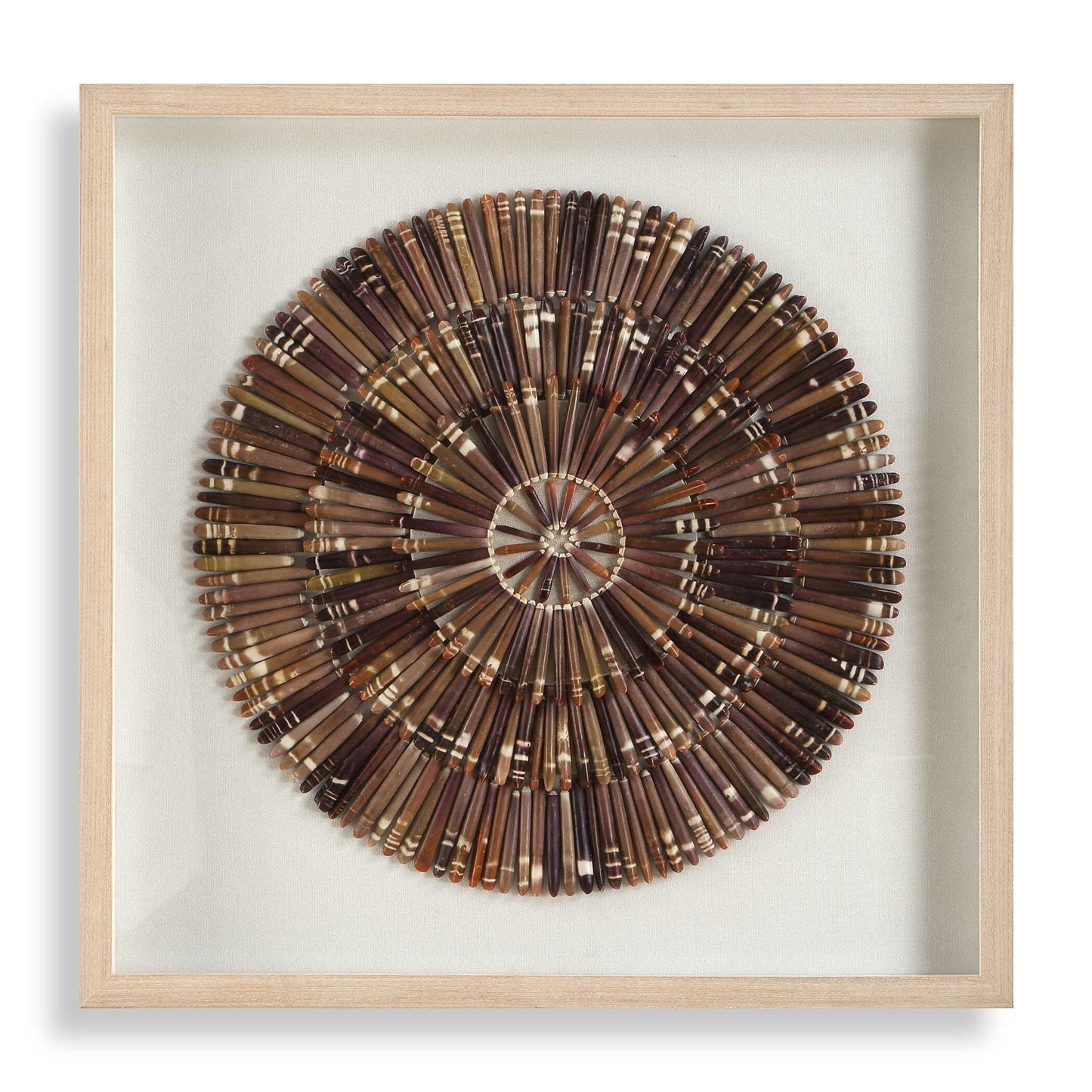 Tiger Sea Urchin - Shadow Box - Brown