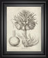 22x26 Fresco Crown Imperial II By Vision Studio - Beige