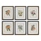 Orchid - Botanical Framed Prints (Set of 6) - Black / Blue / Gold / Green / Orange / Pink / Purple / Red