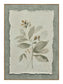 Muted Herb Study - 20" x 28" Framed Wall Art - Green