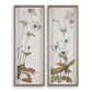 Garden - Study Framed Floral Prints (Set of 2) - Blue / Brown / Green / White