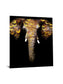 Floating Tempered Glass With Foil Elephant - Dark Gray