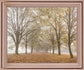 Golden Mist Avenue - 28" x 34" Framed Wall Art - Light Brown