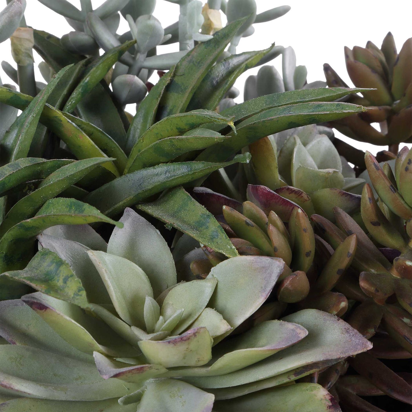 Greystone - Indoor-Outdoor Succulent - Green