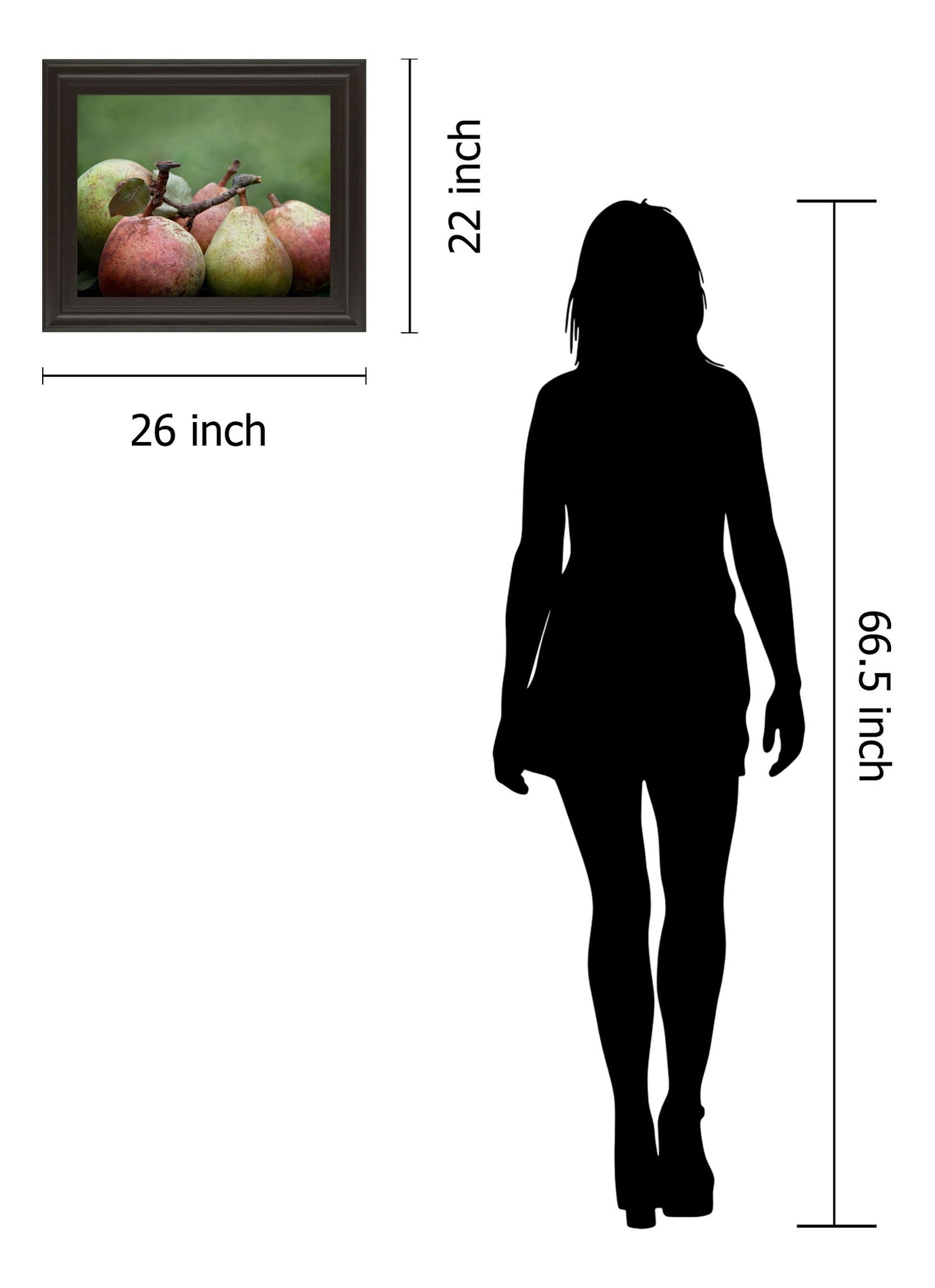 Comice Pear Il By Rachel Perry - Framed Print Wall Art - Green