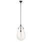Dewdrop - 1 Light Glass Shade Pendant - Black