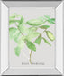 Ficus Robusta By Katrien Soeffers - Mirror Framed Print Wall Art - Green