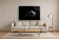 Tempered Glass With Foil - Black Panther - Black