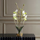 Lady - Slipper Orchid In Glass Vase - Green,White
