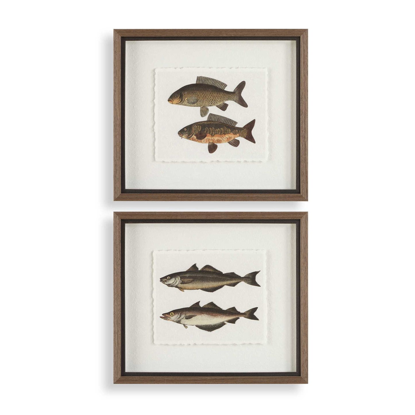 The Catch - Framed Fish Prints (Set of 2) - Black / Brown / Gray / Green / Orange / Woodtone