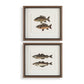 The Catch - Framed Fish Prints (Set of 2) - Black / Brown / Gray / Green / Orange / Woodtone