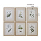 Green Floral Botanical Study - Prints (Set of 6) - Green