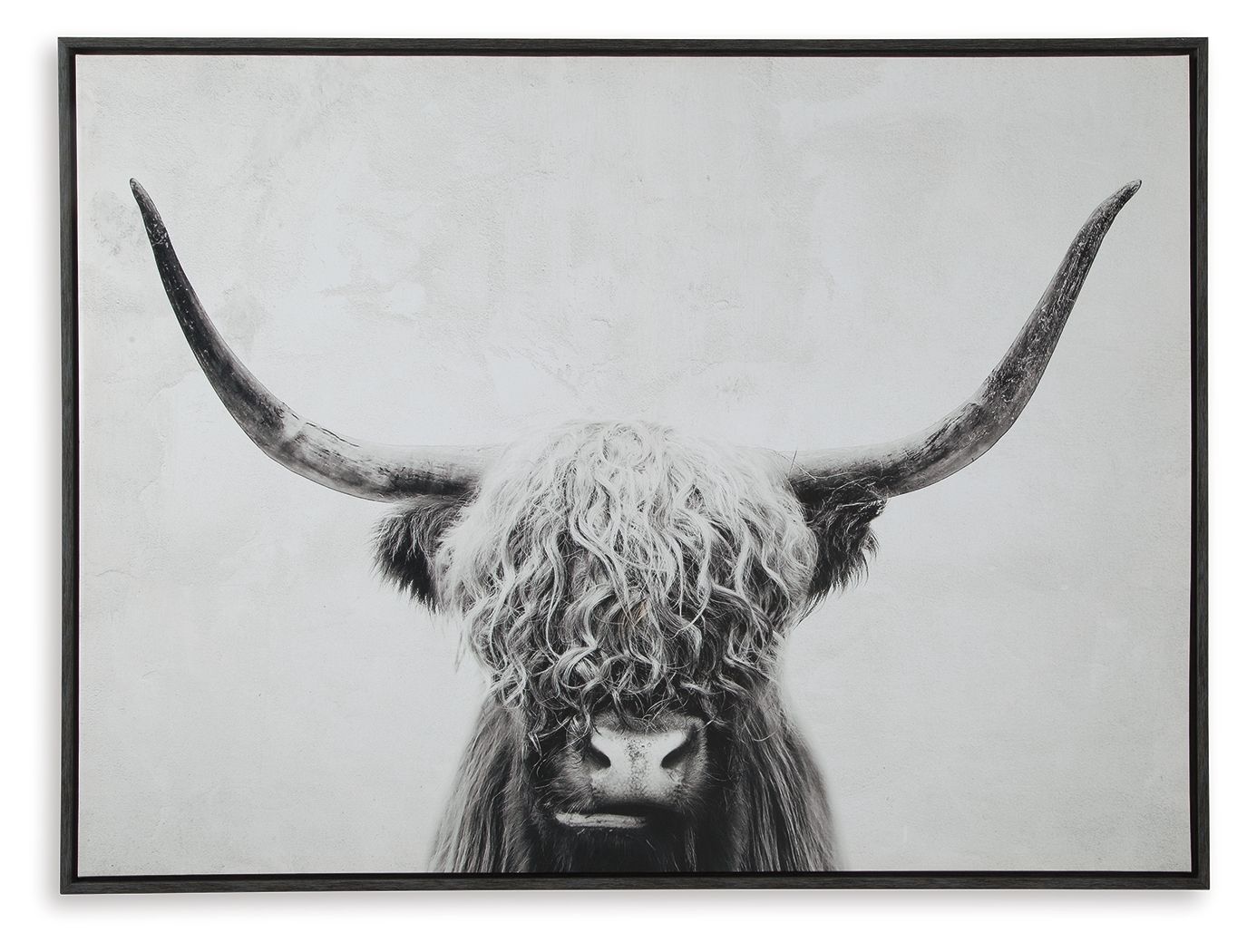 Pancho - Wall Art - Black / White
