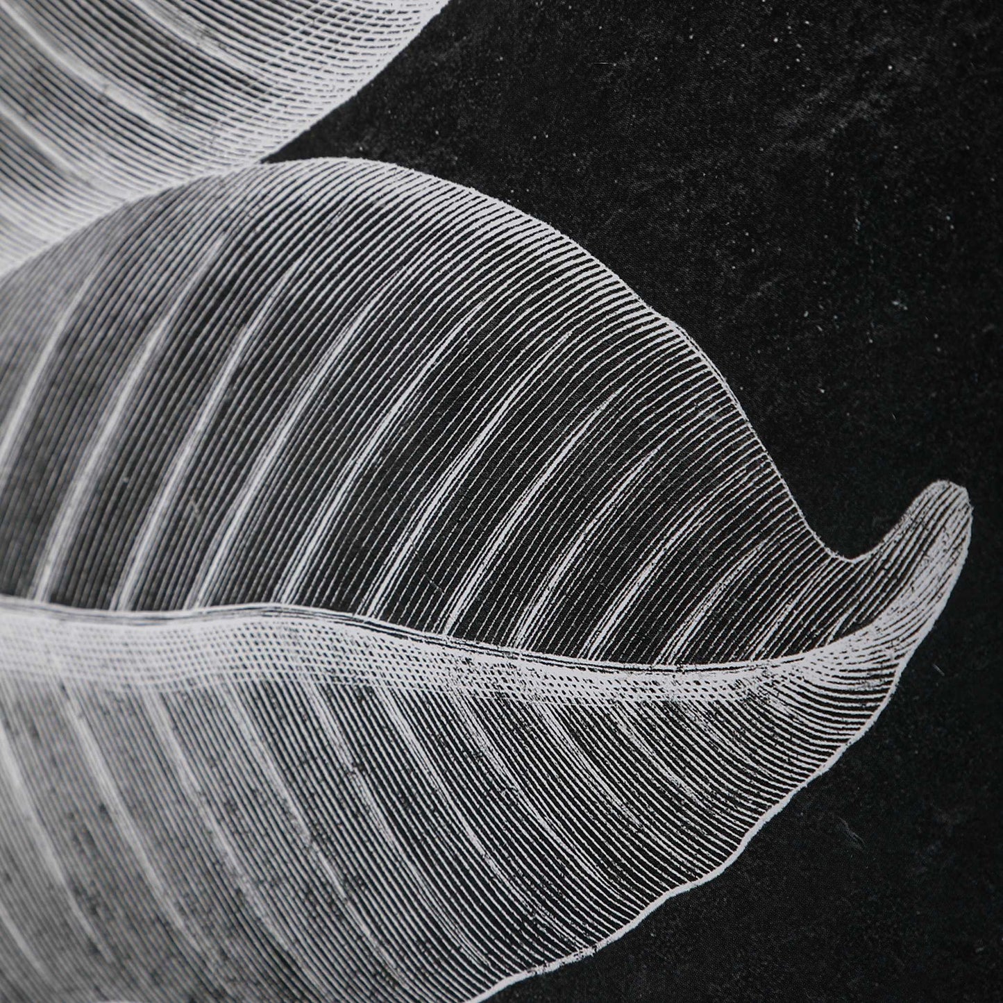 Foliage - Framed Prints (Set of 6) - Black