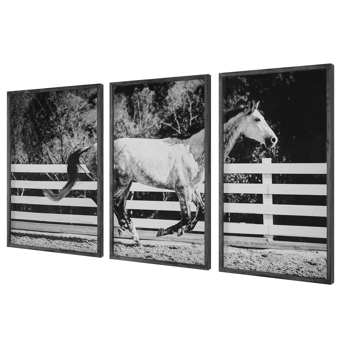 Galloping - Forward Equine Prints (Set of 3)