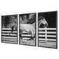 Galloping - Forward Equine Prints (Set of 3)