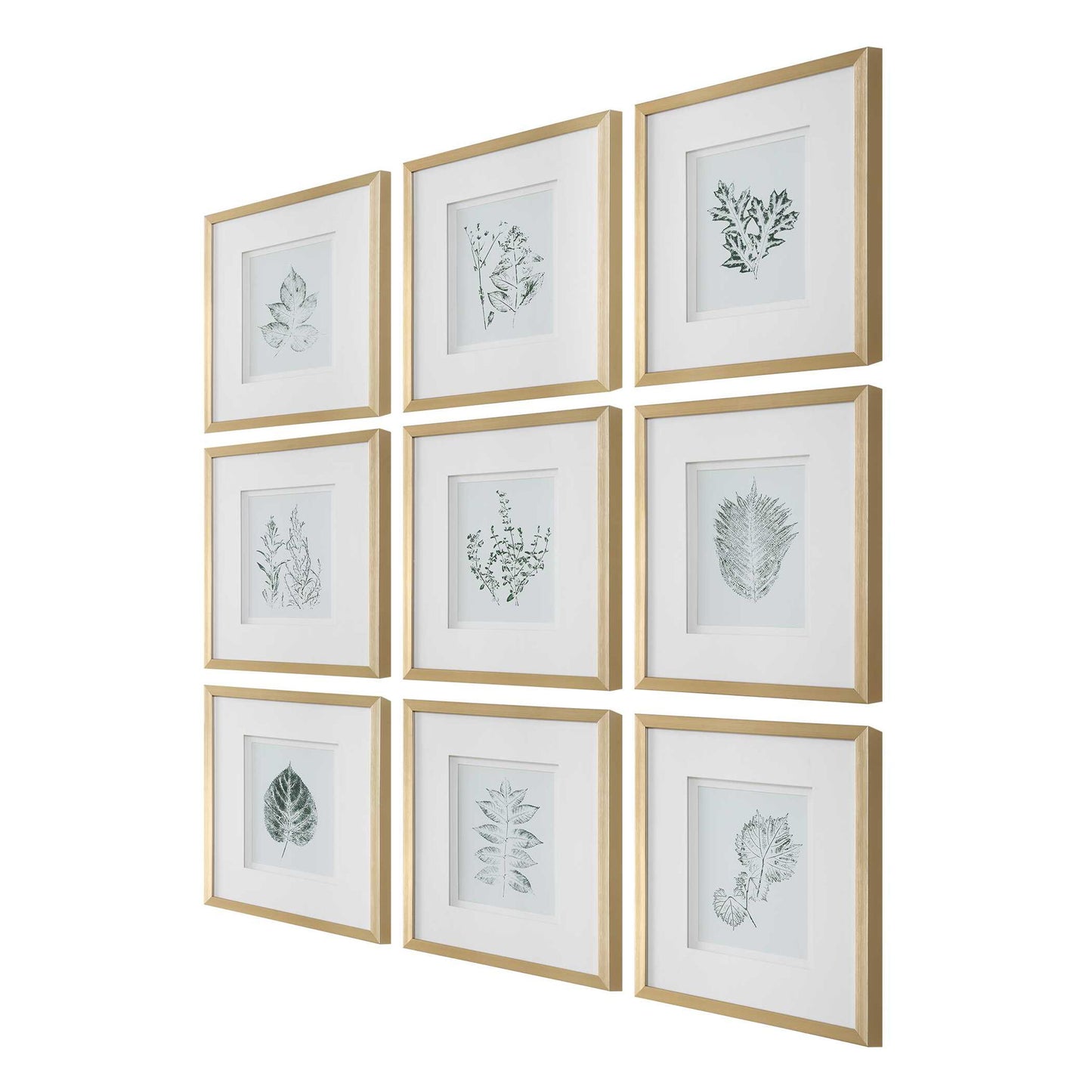 Nature's - Script Framed Botanical Prints (Set of 9) - Gold / Green / White