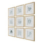 Nature's - Script Framed Botanical Prints (Set of 9) - Gold / Green / White