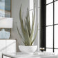 Evarado - Aloe Planter - White