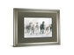 Running Wild By Carol Robinson - Framed Watercolor Print Wall Art - Dark Gray