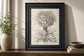 22x26 Fresco Crown Imperial I By Vision Studio - Beige