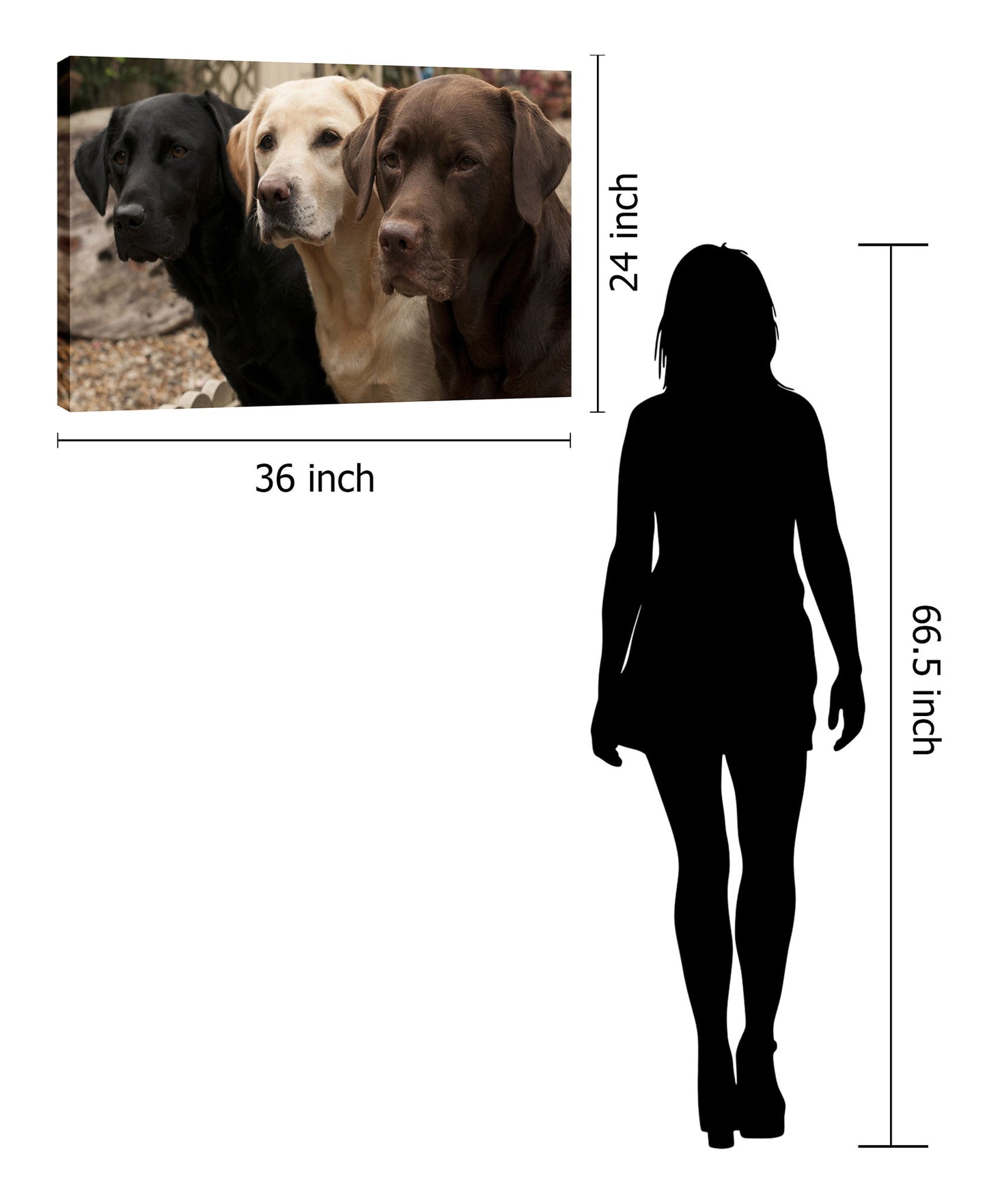 Mixed Media Canvas Dogs - Dark Brown